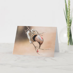 Tarjeta Desayuno Dogwood Berry