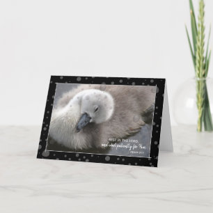 Tarjeta Descanse en el Lord Young Swan