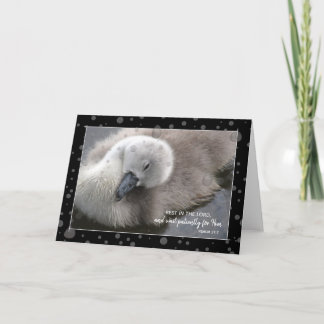 Tarjeta Descanse en el Lord Young Swan