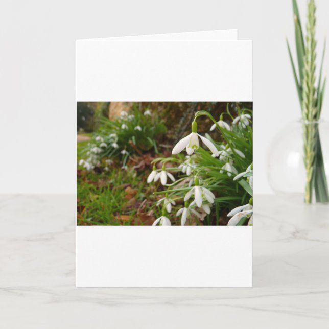 Tarjeta Descensos de la nieve (Anverso)