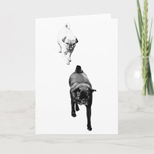 Tarjeta Deseando Calidez, Dueto de Perros Dóciles