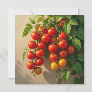 Tarjeta Desear a un amigo un verano feliz