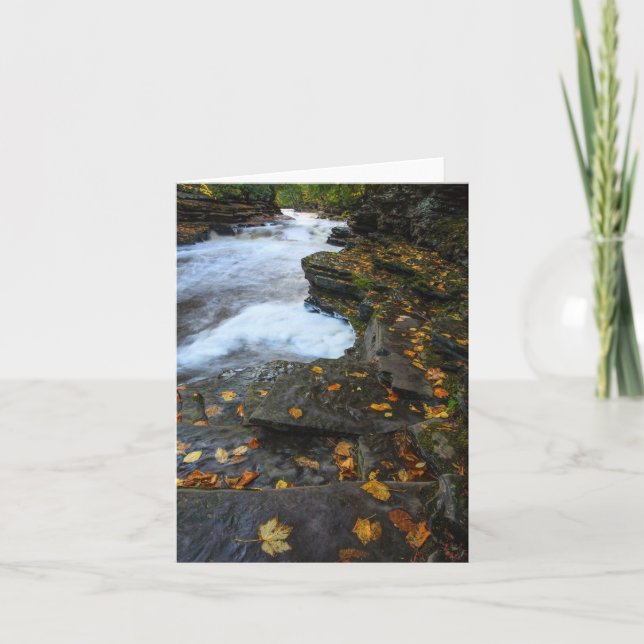 Tarjeta Desencadenado (Anverso)