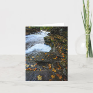 Tarjeta Desencadenado