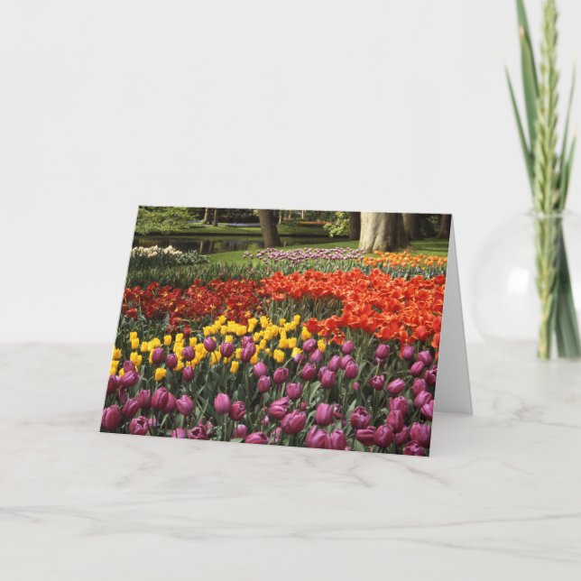 Tarjeta Deseo de cumpleaños atrasado Jardín Keukenhof (Anverso)