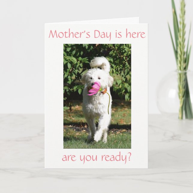 TARJETA DESEO ESPECIAL DE ***MOM*** EN EL DÍA DE LA MADRE (Anverso)