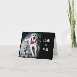 TARJETA DESEO PODER DECIR "FELIZ CUMPLEAÑOS" EN PERSONA