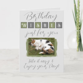 Tarjeta Deseos de cumpleaños agregar gatos foto gris verde