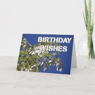 Tarjeta Deseos de cumpleaños Álamo frondoso, cielo azul