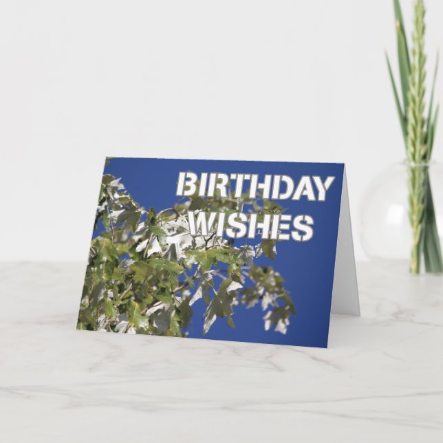 Tarjeta Deseos de cumpleaños árbol de álamos Leafy, cielo  (Anverso)