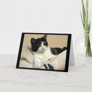 Tarjeta Deseos de cumpleaños de Calico Cat