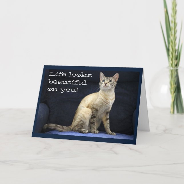 Tarjeta Deseos de cumpleaños de un gato espléndido sobre u (Anverso)