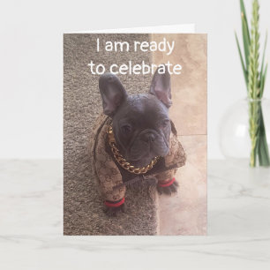 TARJETA DESEOS DE CUMPLEAÑOS DE UN PERRO DE GUAY