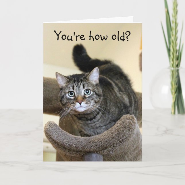 Tarjeta Deseos de cumpleaños del gato conmocionados (Anverso)