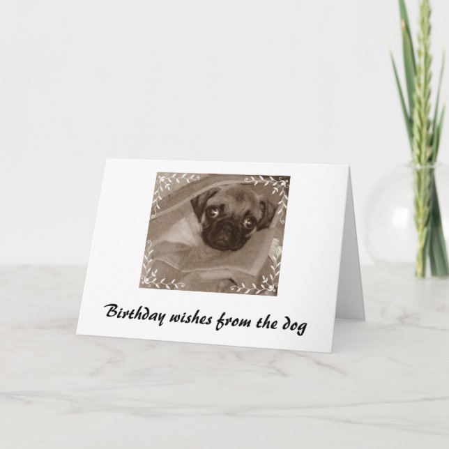 Tarjeta Deseos de cumpleaños del perro (Anverso)