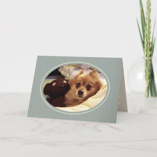 Tarjeta Deseos de cumpleaños felices de Pomerania (Anverso)
