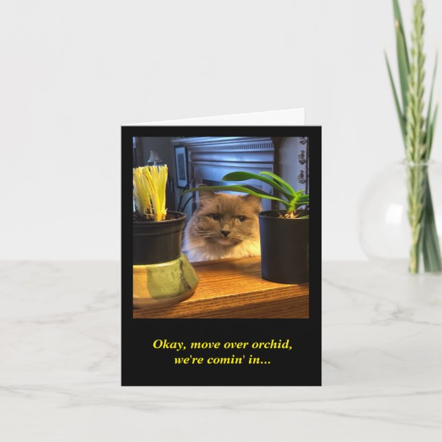 Tarjeta Deseos de cumpleaños humorísticos (Anverso)
