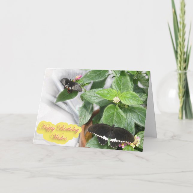 Tarjeta Deseos de cumpleaños - Mariposa (Anverso)