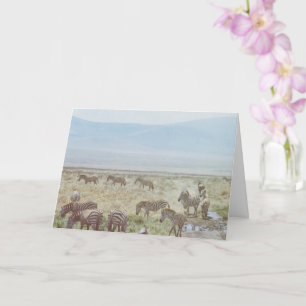 Tarjeta Deseos de cumpleaños salvajes de Zebra