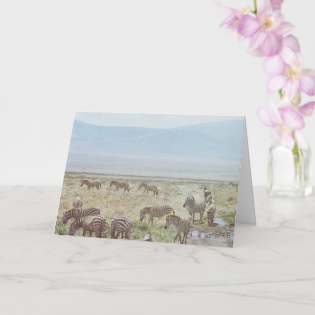 Tarjeta Deseos de cumpleaños salvajes de Zebra (Orquídea)