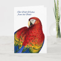 Deseos del grupo Rainbow Macaw Parrot