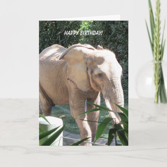 Tarjeta Deseos dulces del cumpleaños del elefante (Anverso)
