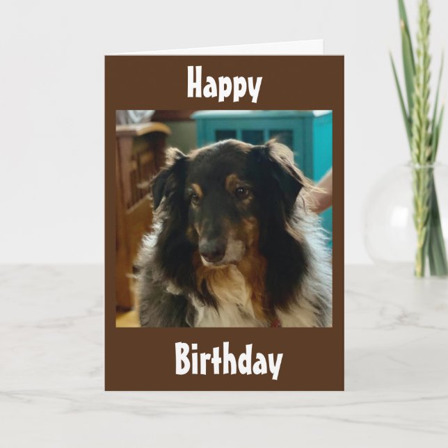 TARJETA DESEOS ESPECIALES DE CUMPLEAÑOS DE UN PUPY ESPECIA (Anverso)