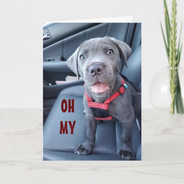 TARJETA DESEOS ESPECIALES DEL CUMPLEAÑOS 60 DE UN PUPY ESP (Anverso)