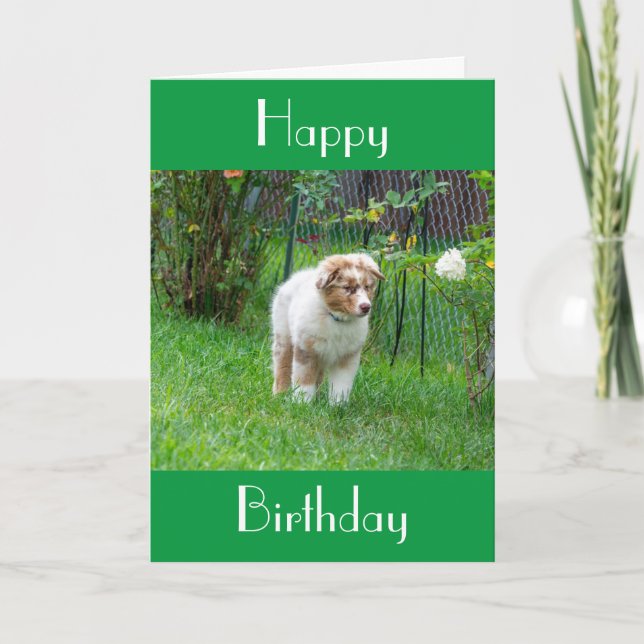 TARJETA DESEOS ESPECIALES DEL CUMPLEAÑOS 70 DE UN PUPY ESP (Anverso)
