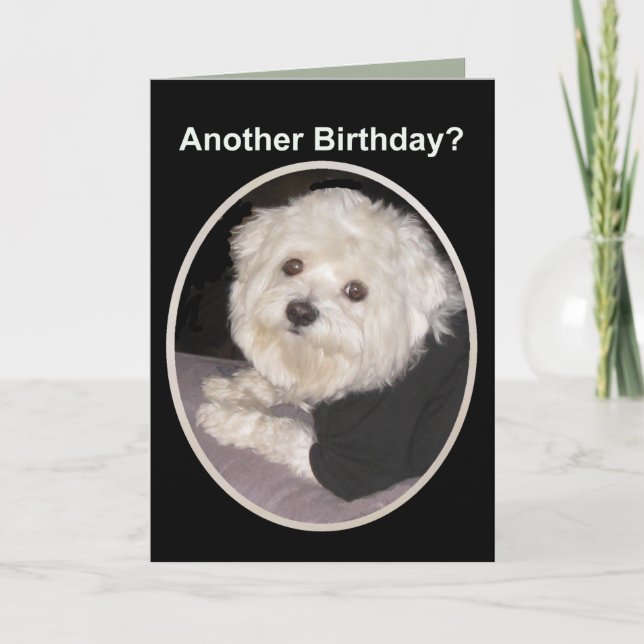 Tarjeta Deseos malteses del cumpleaños para todos amantes (Anverso)