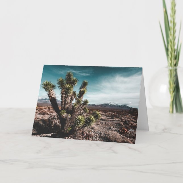 Tarjeta Deserts | Cholla Cactus (Anverso)