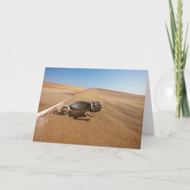 Tarjeta Deserts | Namaqua Chameleon in Desert (Anverso)