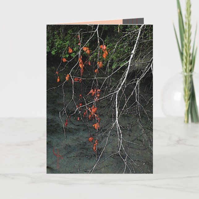 Tarjeta Deshuesa sangre de n (Anverso)