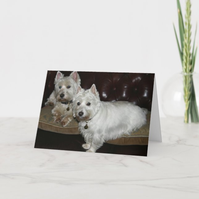 Tarjeta Desi y Lucy (Anverso)