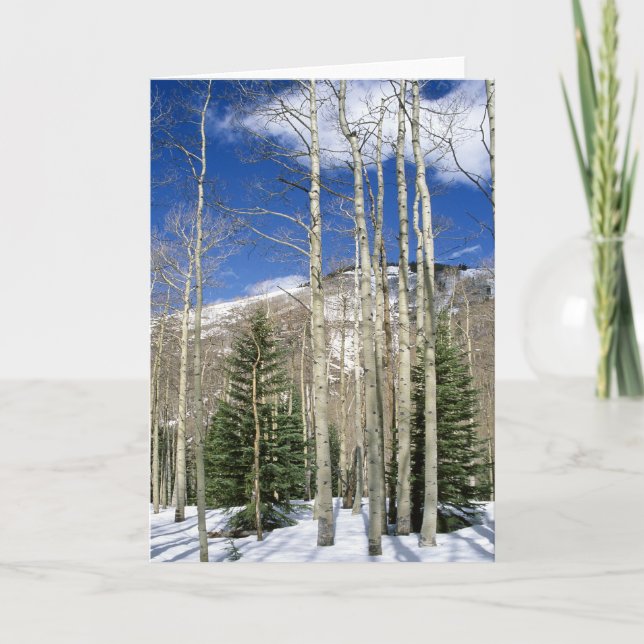 Tarjeta Desierto de Colorado (Anverso)