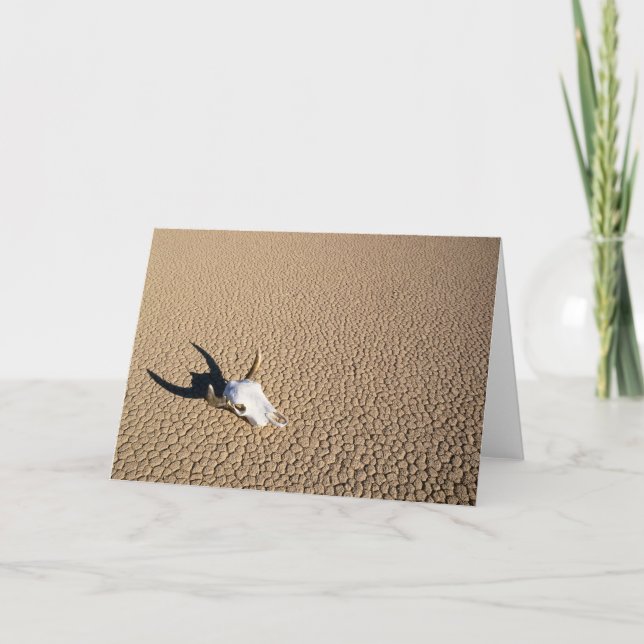 Tarjeta Desiertos | Calavera de vaca en la tierra del desi (Anverso)