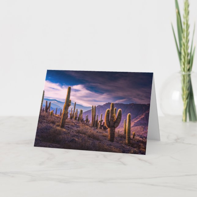 Tarjeta Desiertos | Paisaje Cactus Argentina (Anverso)