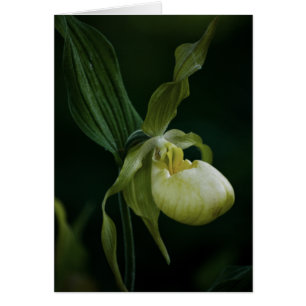 Tarjeta deslizante amarilla