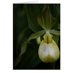 Tarjeta deslizante amarilla 2