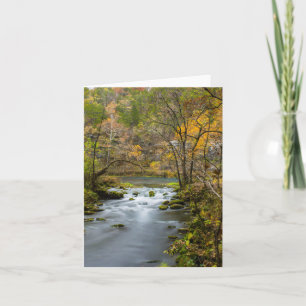 Tarjeta Despacio En El Callejón