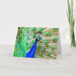 Tarjeta Desplome de pavo real