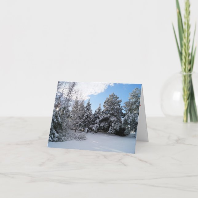 Tarjeta Después de que los Navidades de la tormenta de nie (Anverso)