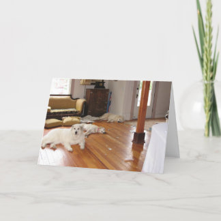 Tarjeta Destrucción al por mayor