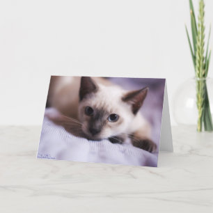 Tarjeta desviado linda