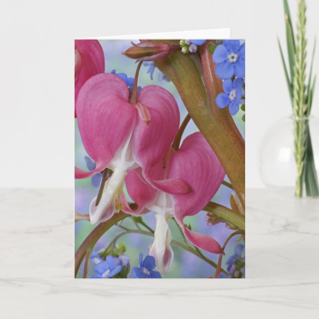 Tarjeta Detalle de corazones sangrantes y Brunnera Jack (Anverso)