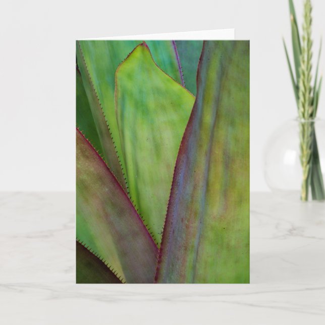 Tarjeta Detalle de planta agave (Anverso)