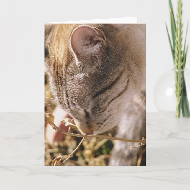 Tarjeta Detener y oler las flores (Anverso)