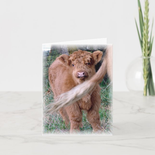 Tarjeta detrás de la cola de mamá (Anverso)