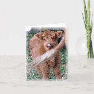 Tarjeta detrás de la cola de mamá