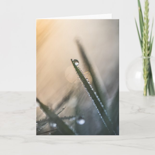 Tarjeta Dew Droplets Grass Nature Photo (Anverso)